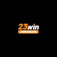 23wincominfo