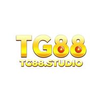 tg88studio