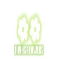 livingflowers