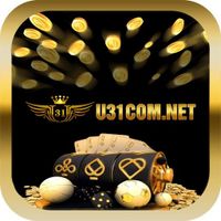 u31comnet