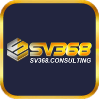 sv368consulting