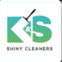 shinycleaners