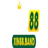 xin88band