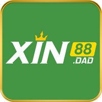 xin88dad