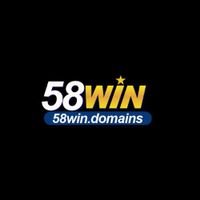 58windomains