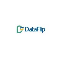 dataflip 0