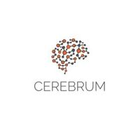 cerebrumdigital