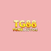 tg88autos