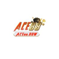 ace88now