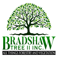 bradshawtree