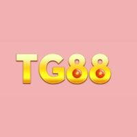 tg88appnet