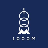 vn1000m